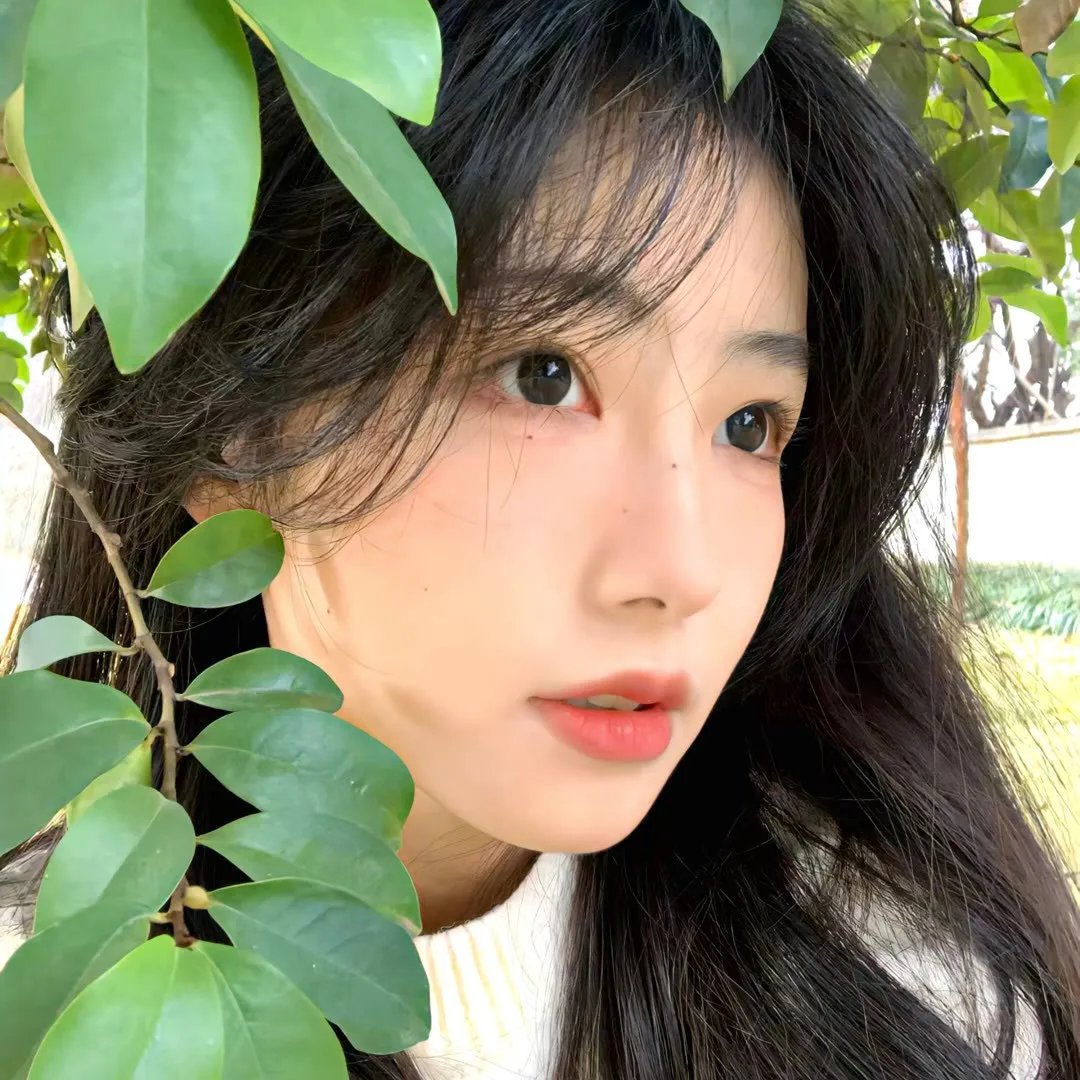 青楼红杏